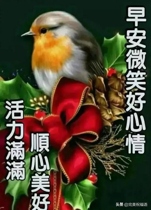 没心没肺到处处防备情感文案(人心捂不热的文案)