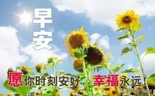 没心没肺到处处防备情感文案(人心捂不热的文案)