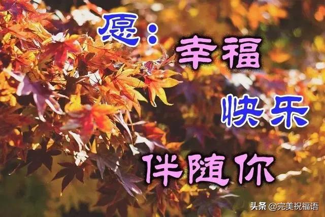 没心没肺到处处防备情感文案(人心捂不热的文案)