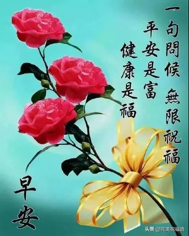 没心没肺到处处防备情感文案(人心捂不热的文案)