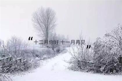 空间励志说说带图片 qq个性签名大全