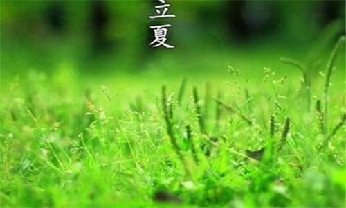 描写有关立夏的古诗，9首经典名句分享