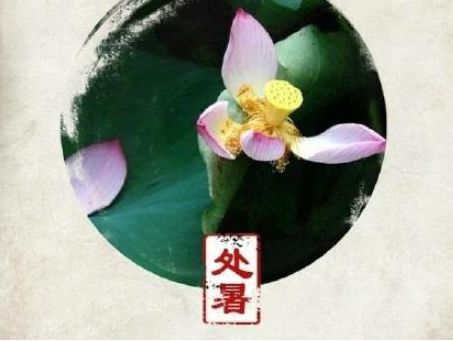 处暑发朋友圈的短语收录27句