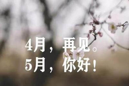 最后一天发朋友圈的说说，群发问候语录句子