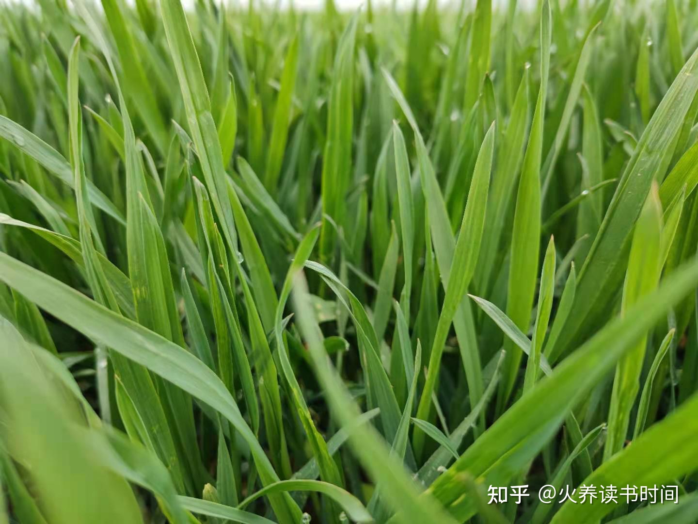 什么男人婚外情，最恶心？