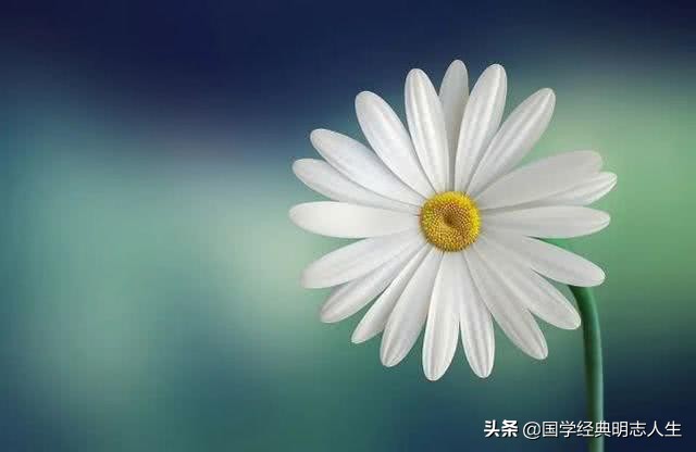 有关夏天的古诗大全，100首古诗词