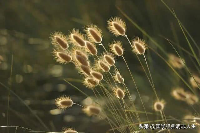 有关夏天的古诗大全，100首古诗词