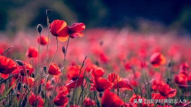 有关夏天的古诗大全，100首古诗词
