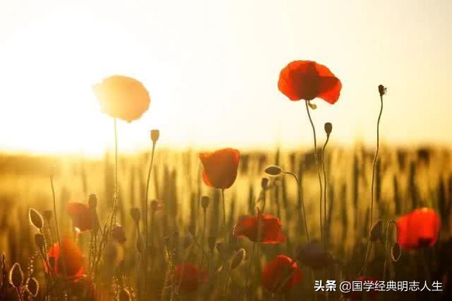 有关夏天的古诗大全，100首古诗词
