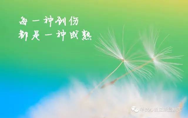 伤感扎心语录长篇2021 很有故事感的催泪文案
