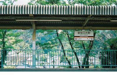 2022早安励志说说 搞笑霸气早安说说