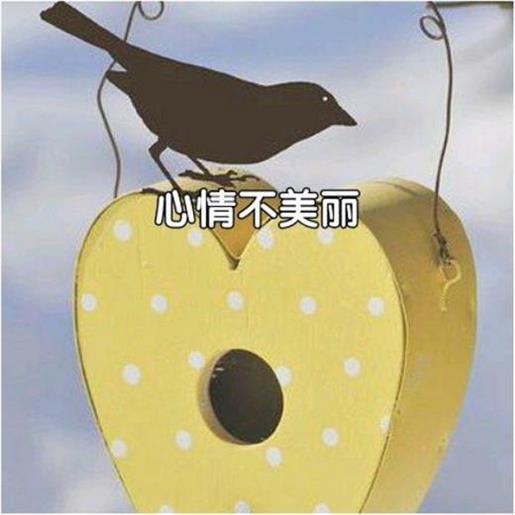 关于晚安的励志句子 励志的句子致自己霸气