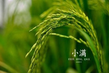 小满问候短信，二十四节气祝福语句子