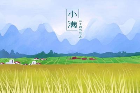 小满问候短信，二十四节气祝福语句子