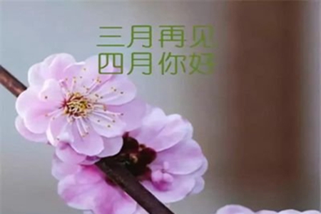 三月再见你好四月的唯美句子，抖音最火文案合集