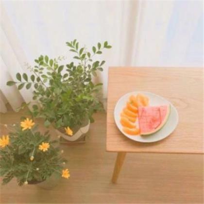 12月早安语录 朋友圈