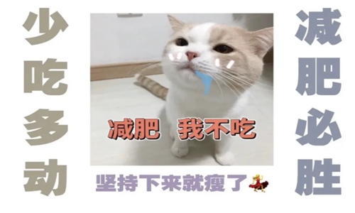 月末最后一天心情说说，迎接新的一天心情语录