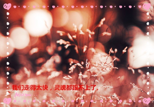 对生活励志且伤感的句子(35句)