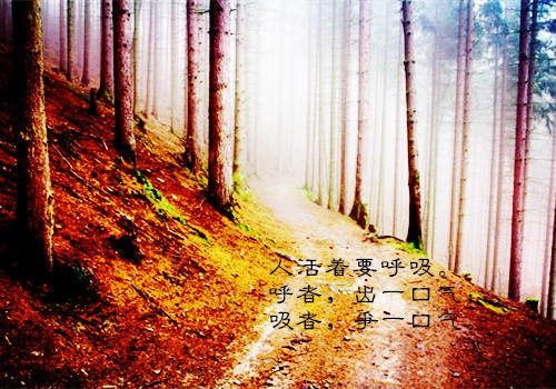 辛苦付出成就感的句子(43句)