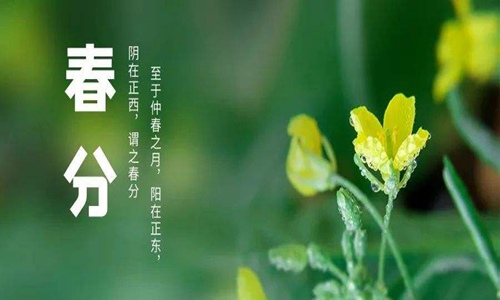 2022春分是几月几日？今日春分朋友圈祝福语文案