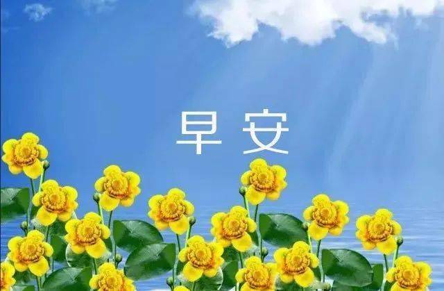 早安心语适合发朋友圈早安的句子