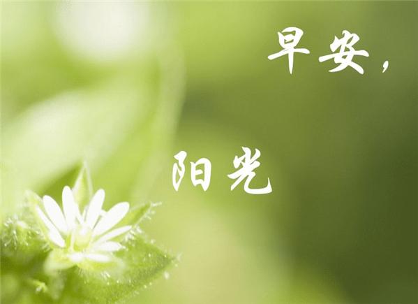早安调皮句子 早上搞笑吸引朋友圈的句子