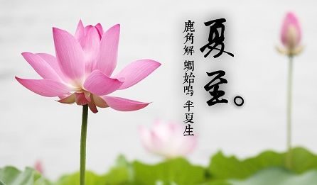2021夏至到来的心情说说 夏至发朋友圈的说说大全