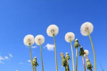 形容人生不总是一帆风顺的文案，感悟生活的经典语录