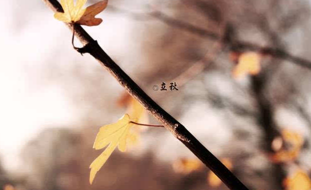 立秋发朋友圈说说 关于秋天句子
