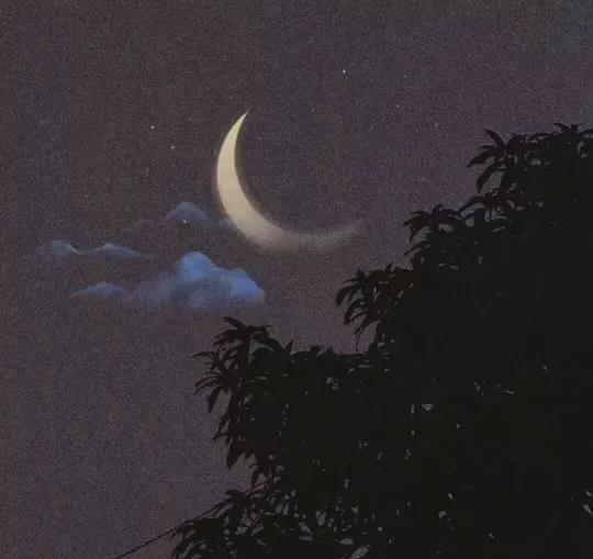 半夜突然被梦惊醒心情说说