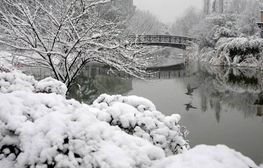 适合下雪天发的朋友圈