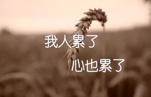 情感伤心句子说说