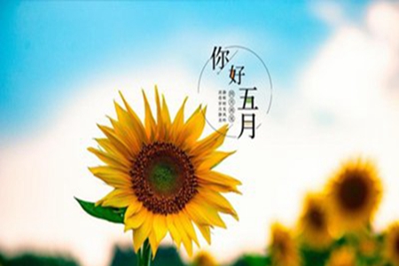 迎接五月的唯美句子，四月最后一天发朋友圈的说说