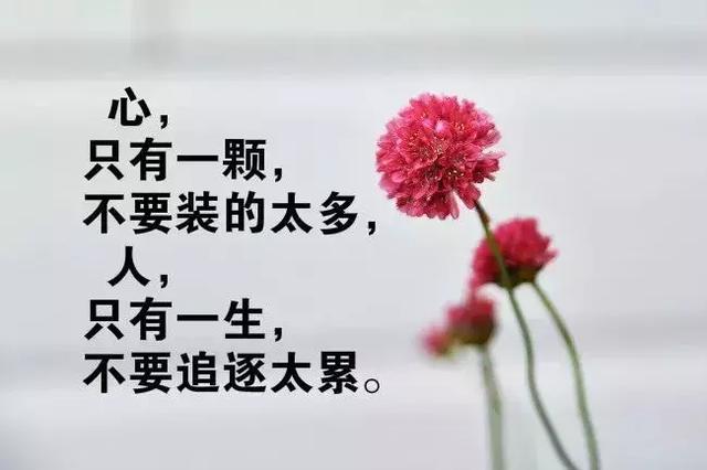 有道理的句子短句大全 哲理说说心情空间句子