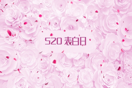 向女朋友告白的情话说说，适合520发朋友圈的句子
