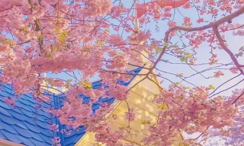 早安撩人情话 2022哄女朋友开心的早安小甜句