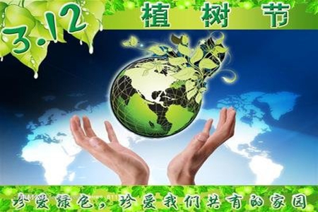 朋友圈植树节标语文案，关于3月12日发的寄语说说