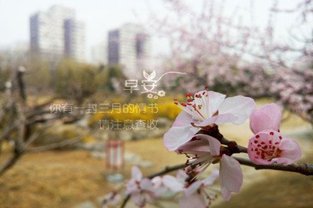 三月你好的励志文案，适合新一个月发的朋友圈句子