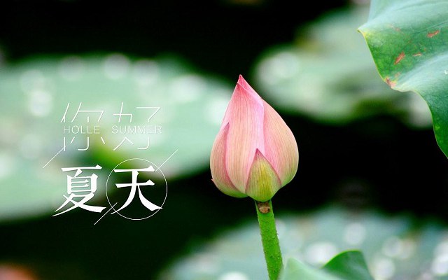 夏至祝福语2021 适合夏至发的说说简短朋友圈文案