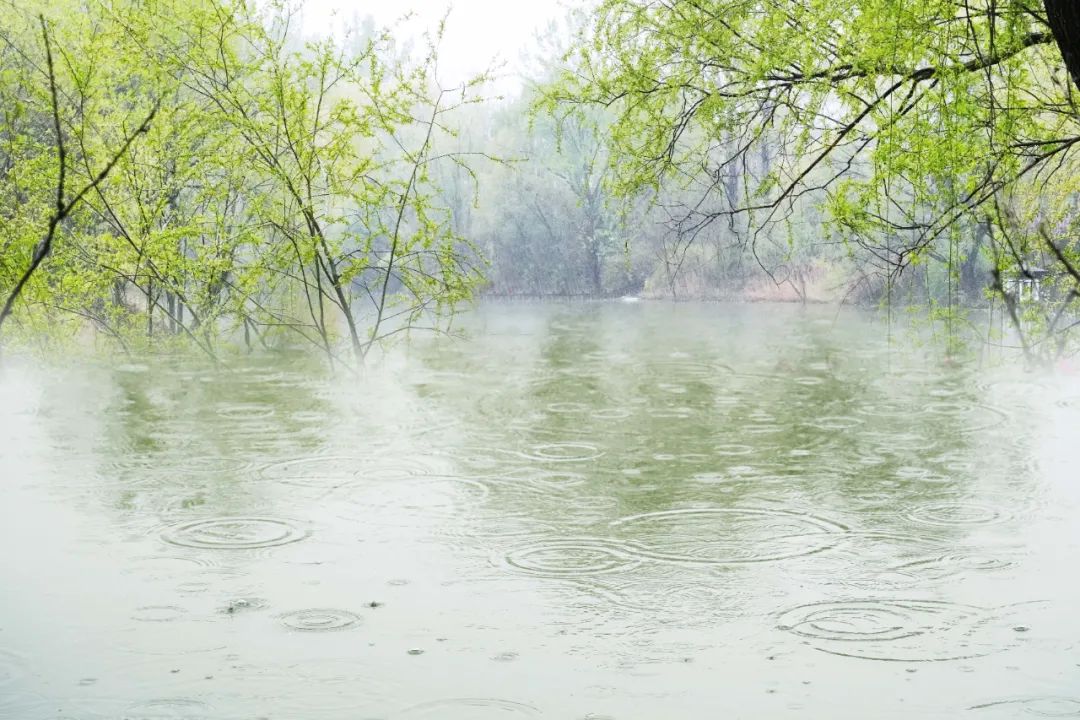 关于雨的古诗 《春夜喜雨》最善解人意的春雨