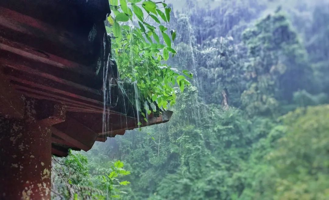 关于雨的古诗 《春夜喜雨》最善解人意的春雨