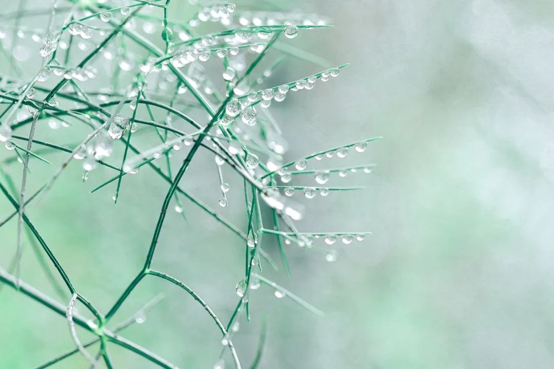 关于雨的古诗 《春夜喜雨》最善解人意的春雨