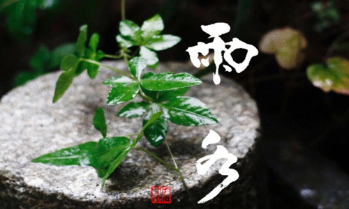 2022雨水的经典祝福语 发朋友圈温馨的话
