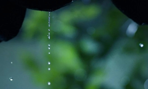 一句雨天暖心经典话语 雨天暖心话正能量