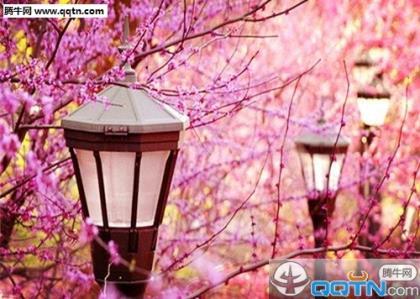 关于不忘初心的古诗词