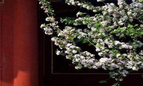 今日惊蛰祝福语 发朋友圈惊蛰简短文案送给你