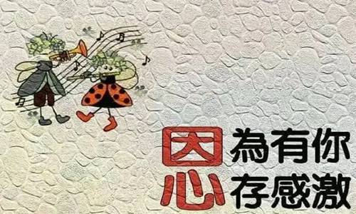 2022疫情加油的句子正能量 疫情最暖心短句