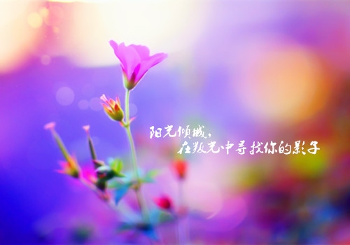 五四青年节青春励志寄语大全(74句)