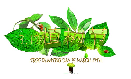 植树节的宣传语 适合发朋友圈的植树节文案