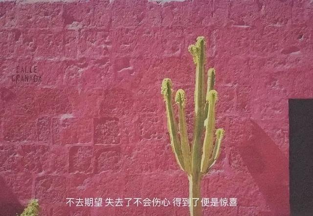 文案情感作文(温暖治愈系电台文本)